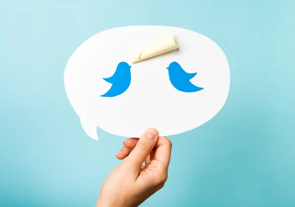 Twitter als politisches Kommunikationsmittel: Unterschiede zwischen Verbänden & Unternehmen